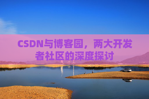 CSDN与博客园，两大开发者社区的深度探讨